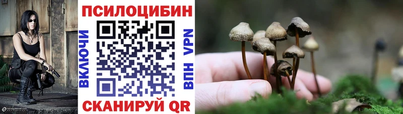 Галлюциногенные грибы Psilocybine cubensis  Кореновск 