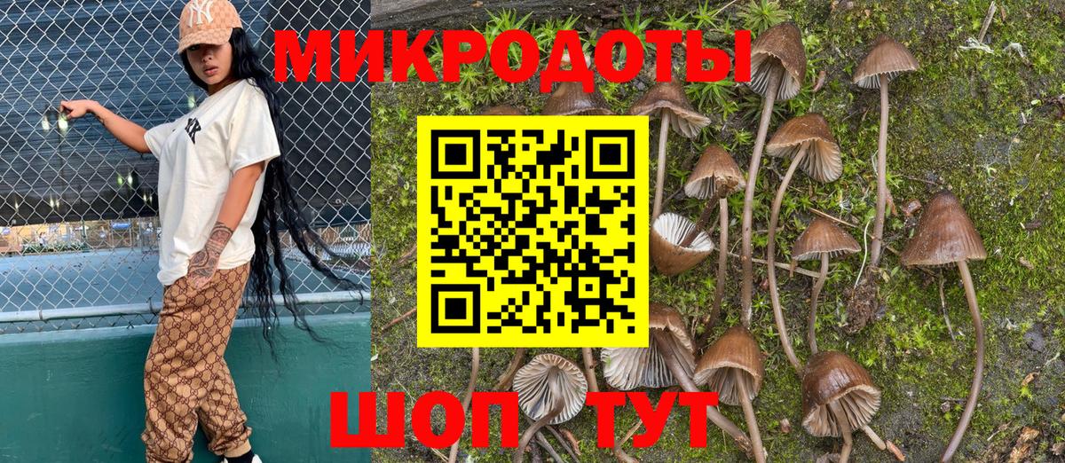 Галлюциногенные грибы Psilocybe  Псилоцибиновые грибы мицелий  где найти   Кореновск 