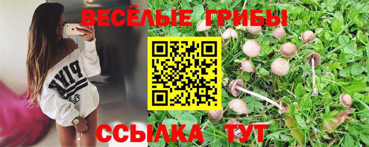 Галлюциногенные грибы Cubensis  Вход с VPN  Кореновск 